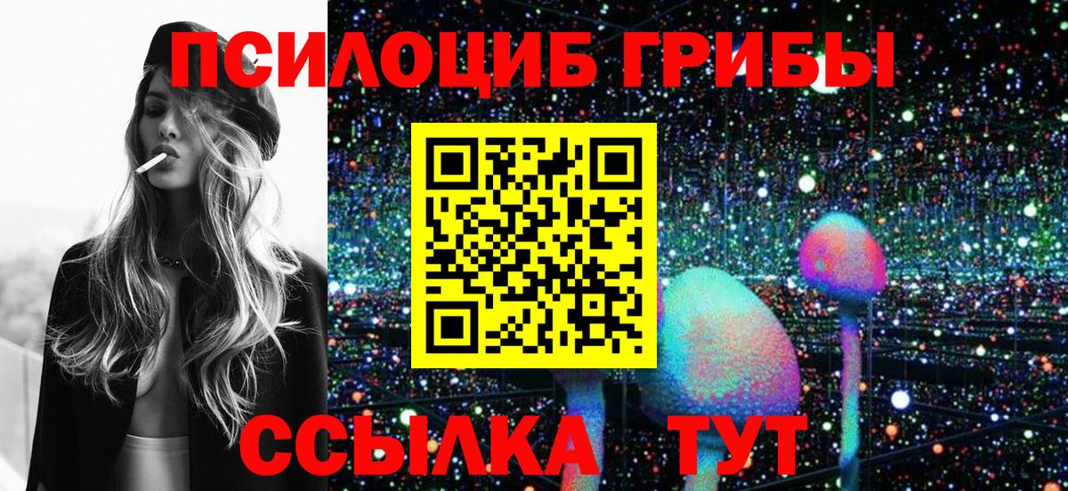 Псилоцибиновые грибы Psilocybe Назрань