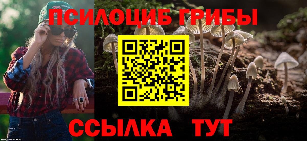 Назрань  Галлюциногенные грибы Psilocybine cubensis  Вход с VPN 