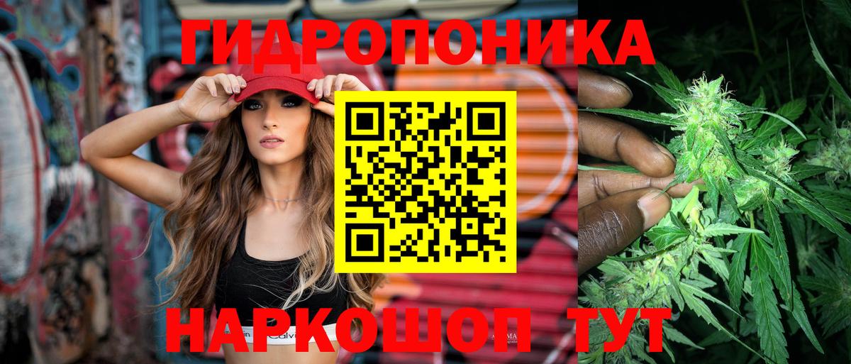 Назрань  Конопля индика  Бошки марихуана AK-47  Каннабис планчик  Вход с VPN 